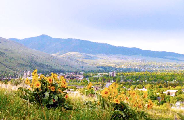 South Hills from North Hills-Elizabeth Erickson