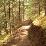 High Park Trail Opens in new window